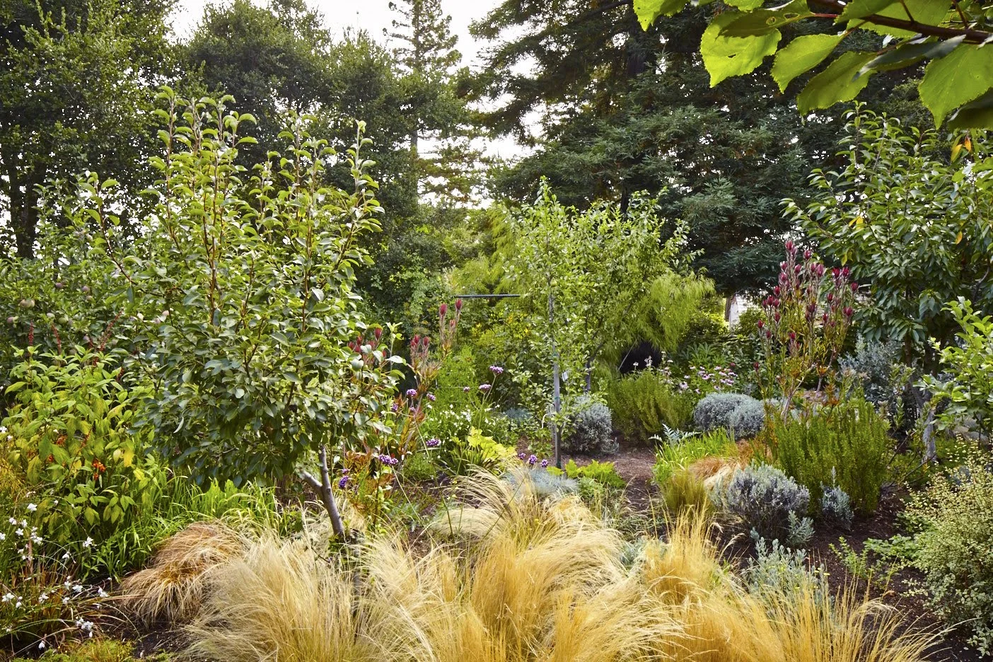 Pine House Edible Gardens