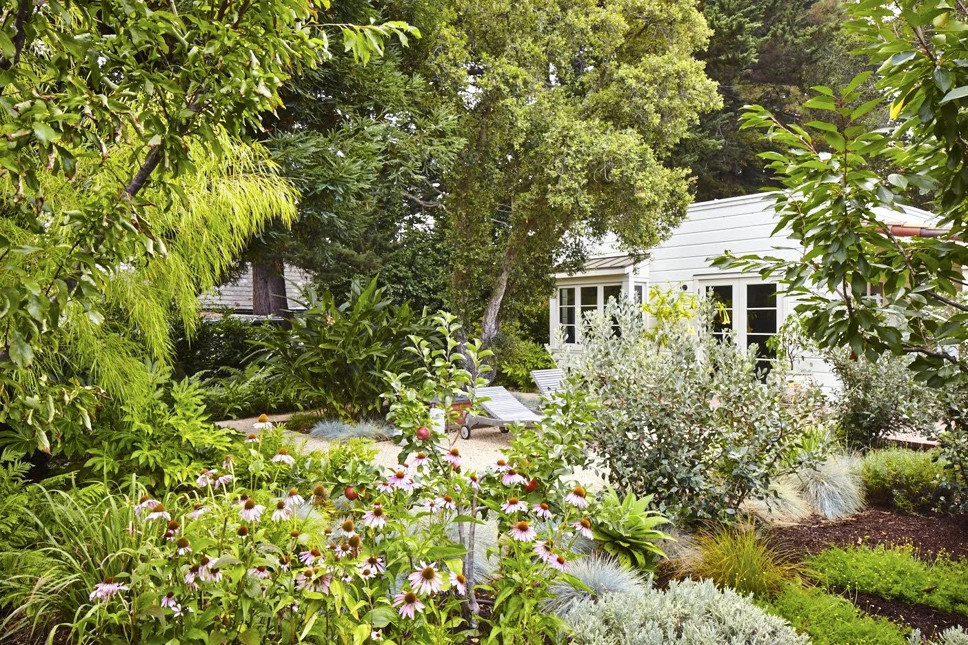 Pine House Edible Gardens