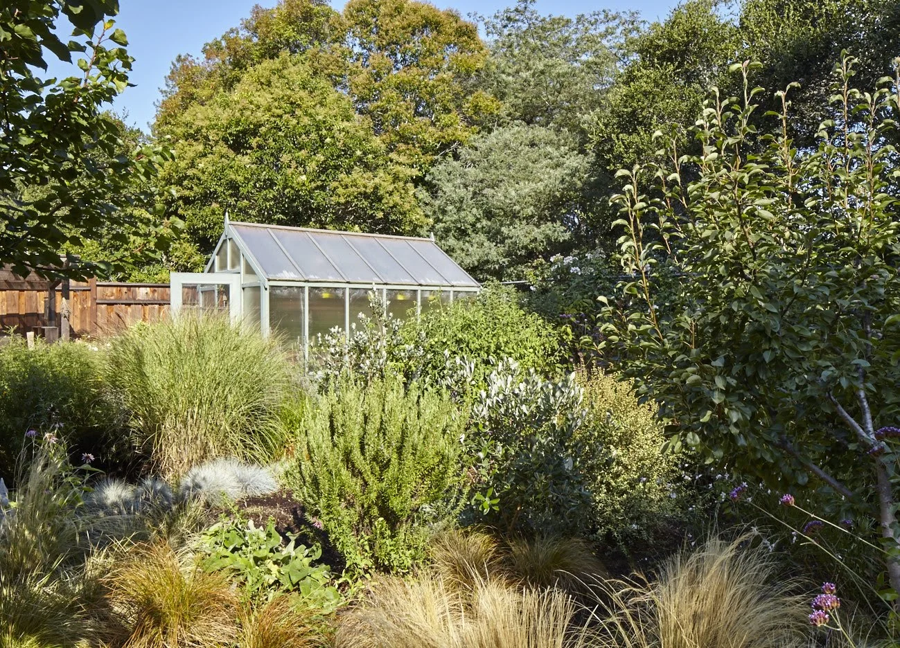 Pine House Edible Gardens