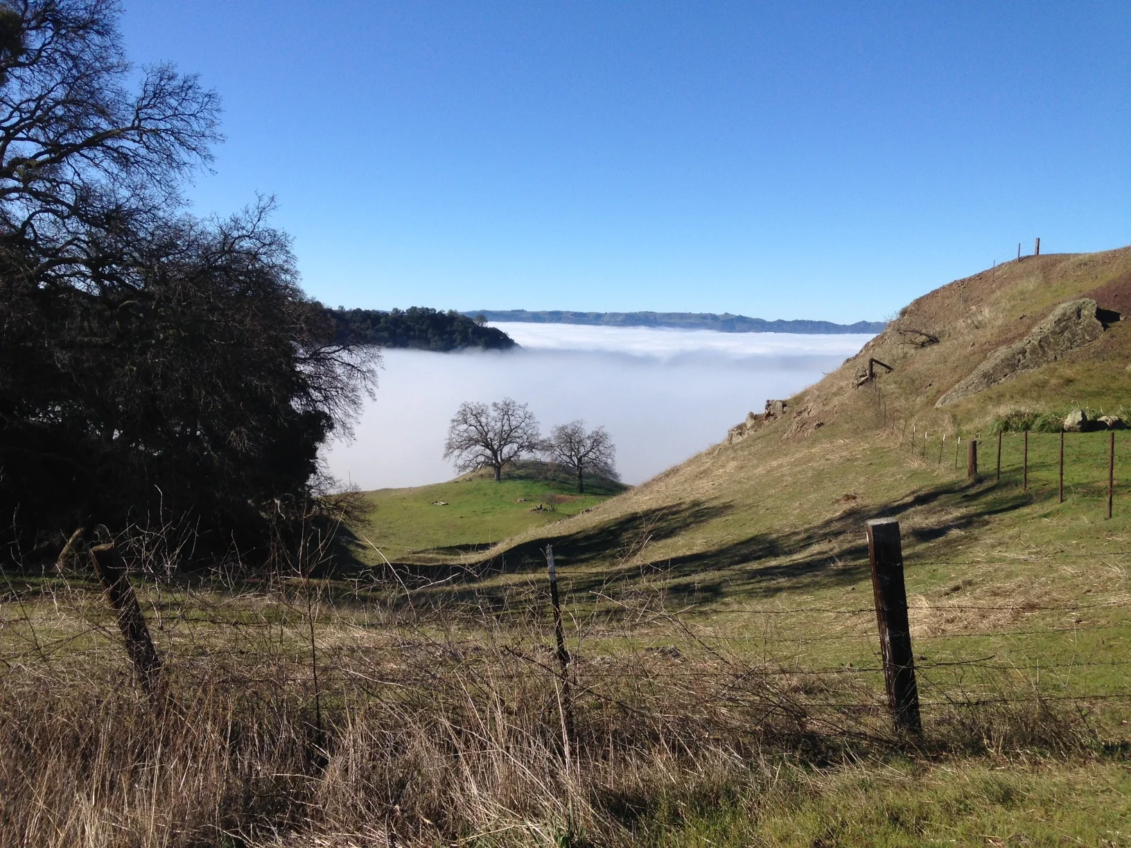 Fog 1 Overlook.JPG