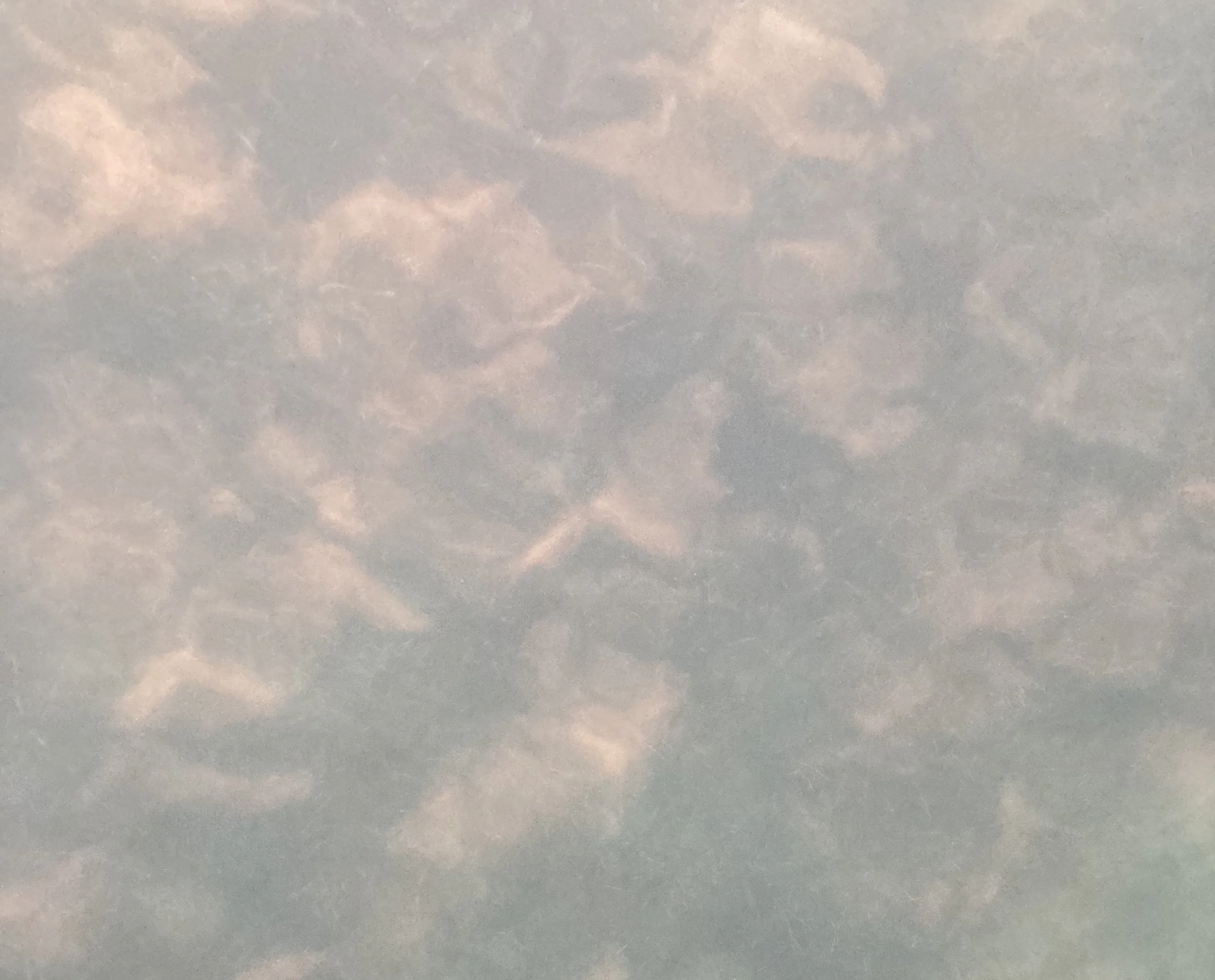 IMG_6732.jpeg copy.jpg