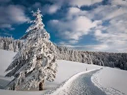 winter.jpg