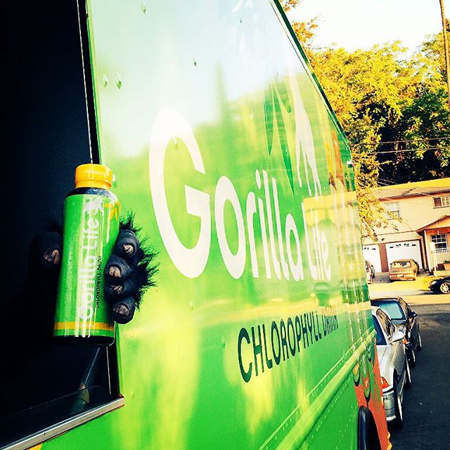 Hey East LA! The Gorilla is all around town today doing demos! First up find us at Lassens Echo Park from 11:30-2:30pm AND THEN we'll be at Lassens Los Feliz from 3:30-6:30pm! #GorillaOnTheMove #GorillaLife #chestpound #Chlorophyll #ChlorophyllWater 
