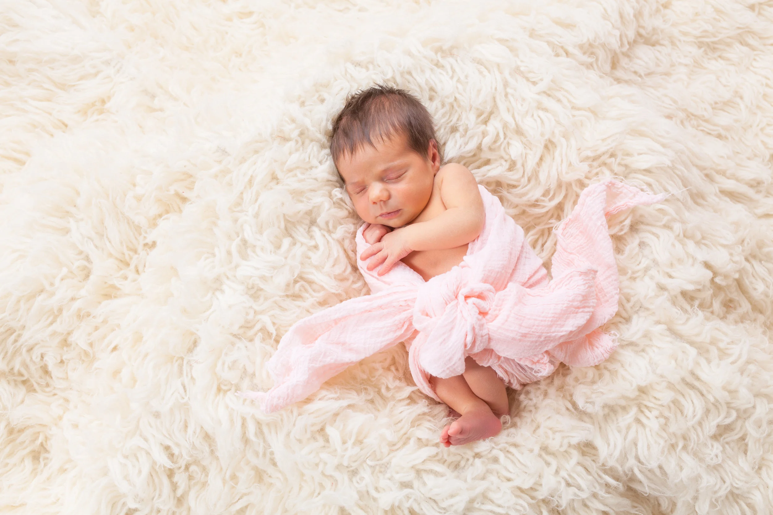  Photo Credit: Little Bear Photography 