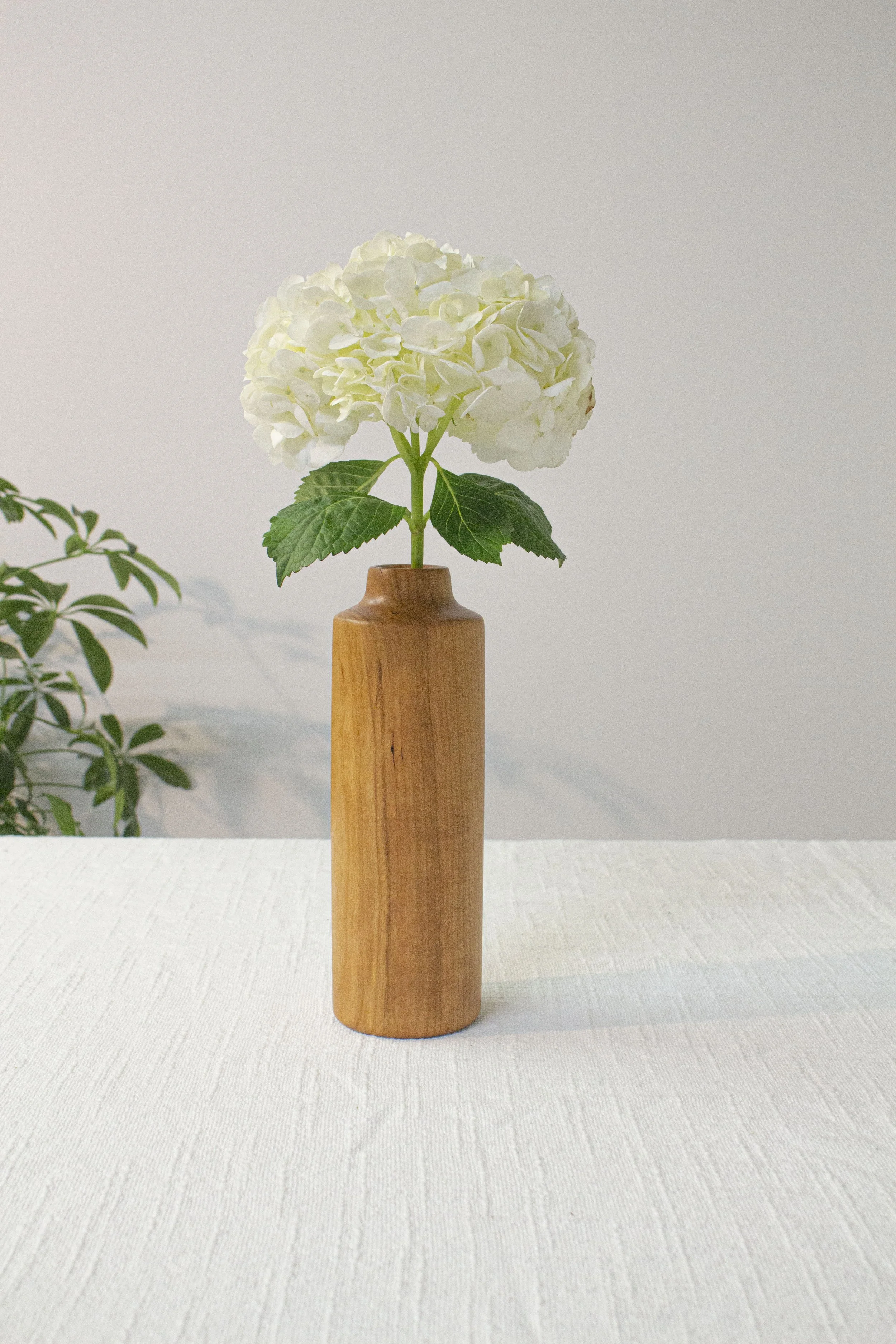 Cherry Bottle Vase