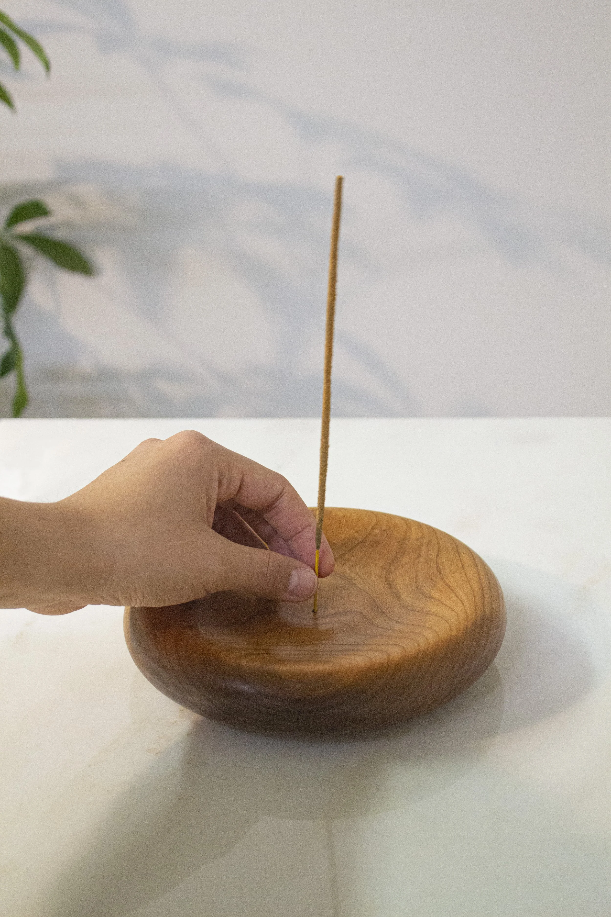 Pillow stick.jpg