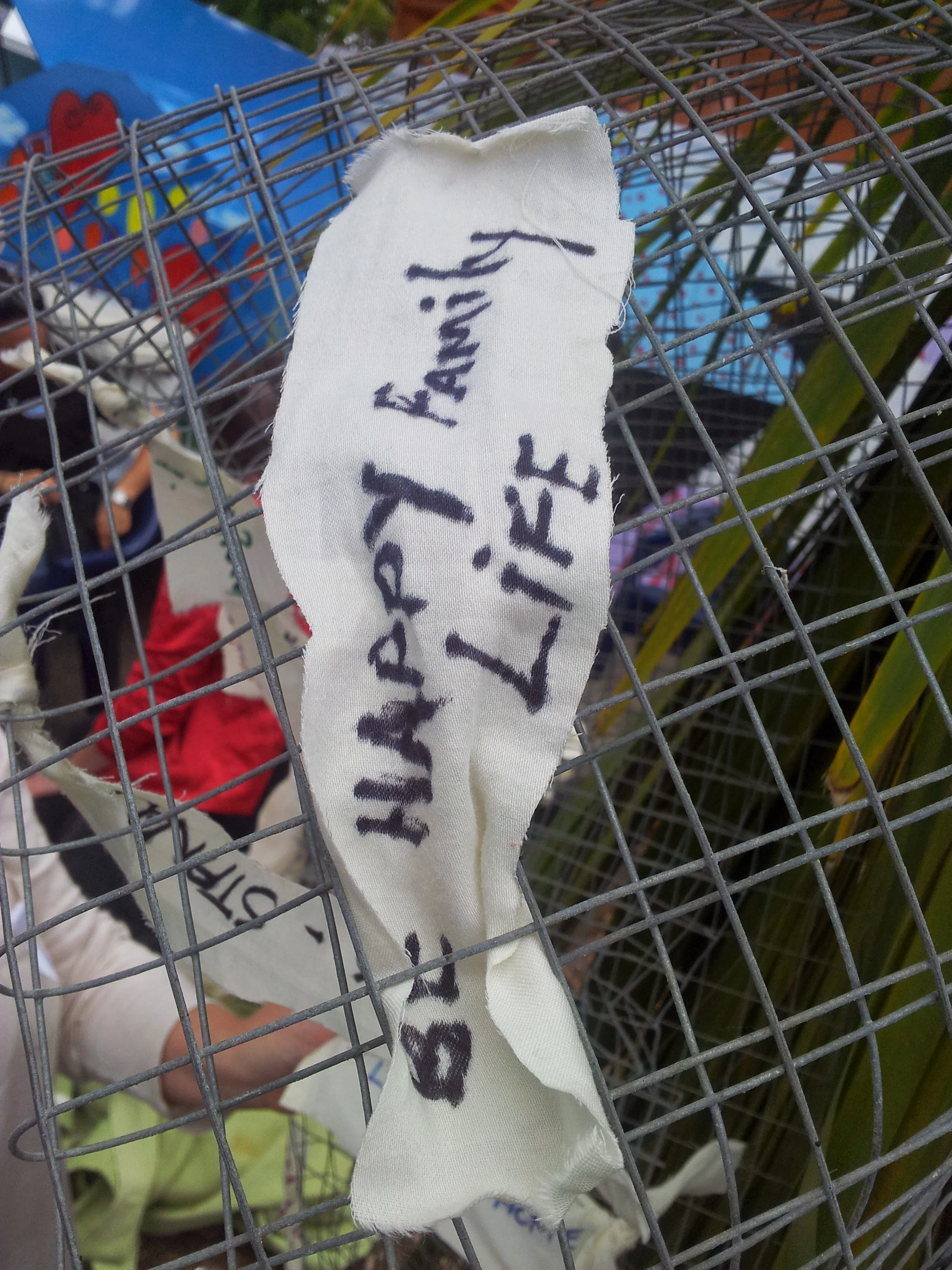 WRAP made a ribbon from wire and displayed it outside the Glen Innes Library. The community then put messages of hope on the installation.