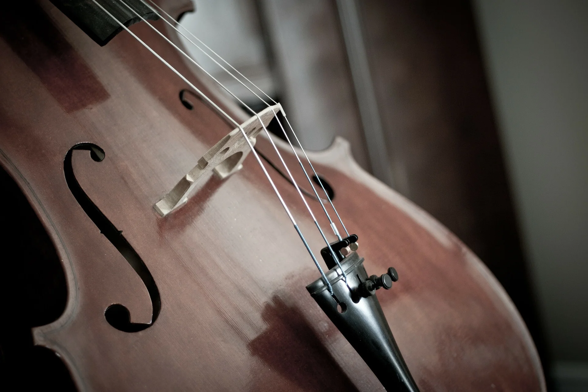 cello-110981_1920.jpg