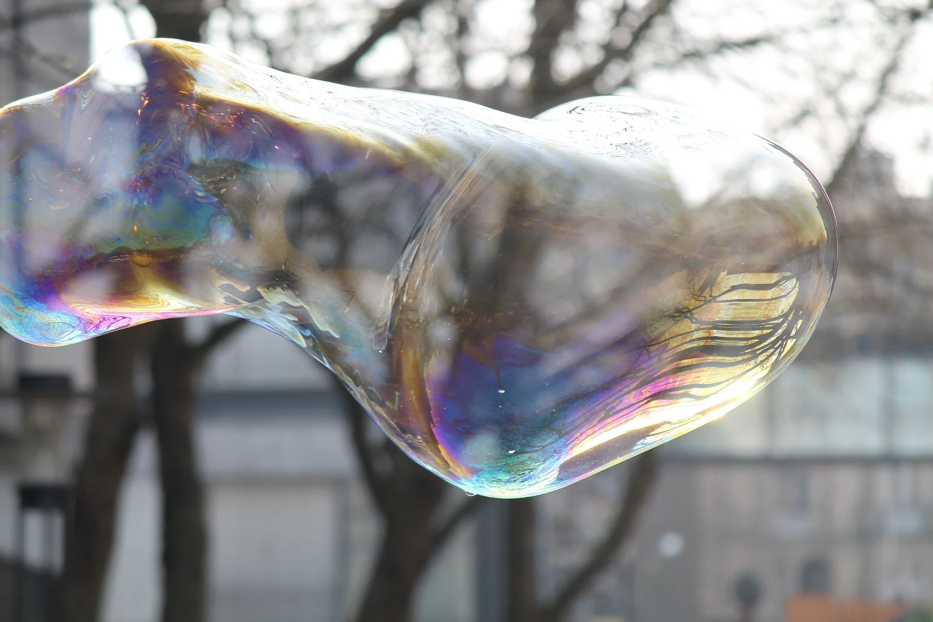 giant-soap-bubbles-715936_1920.jpg