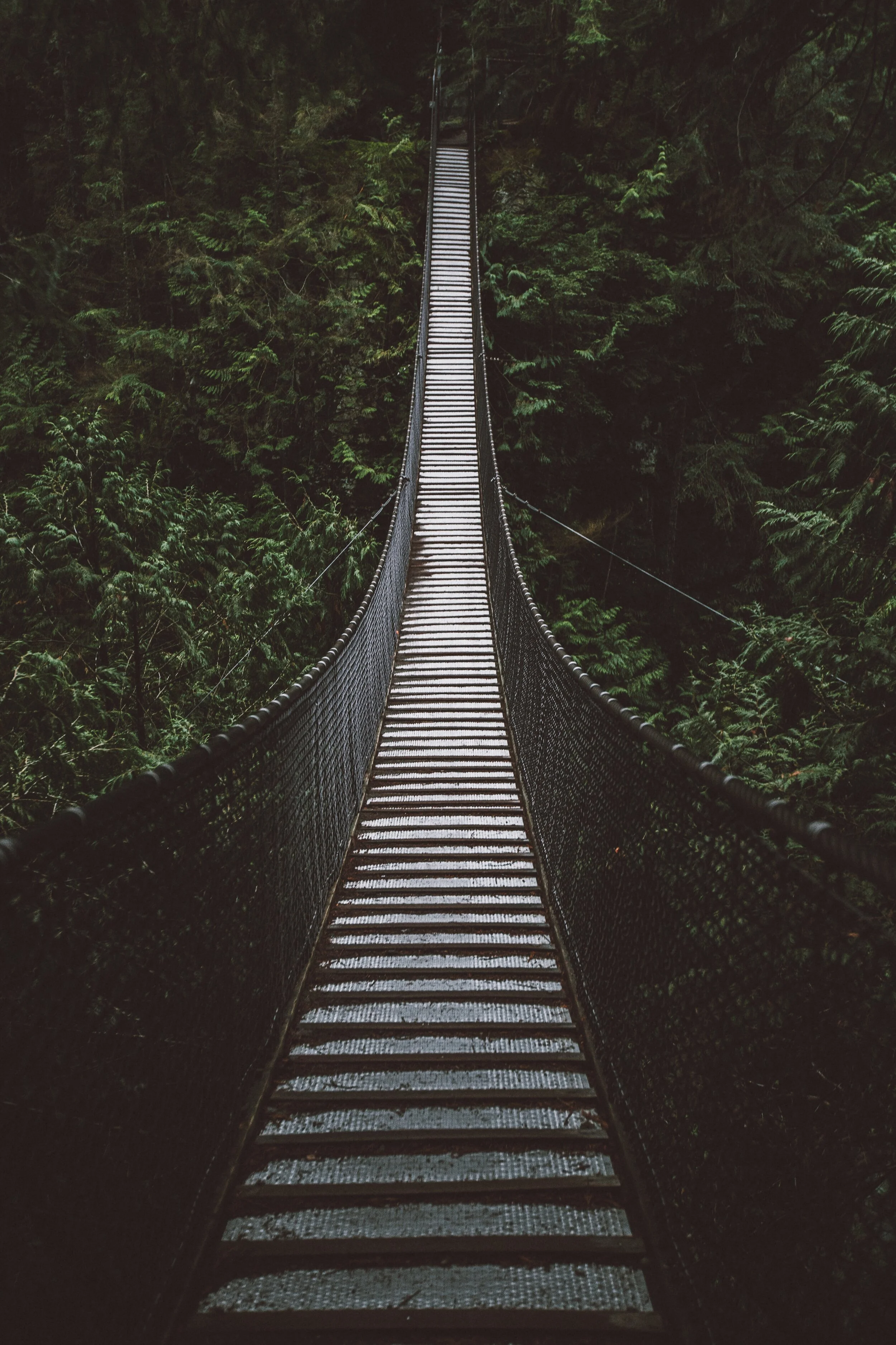 leonard-von-bibra-MCc1eDinFcI-unsplash.jpg