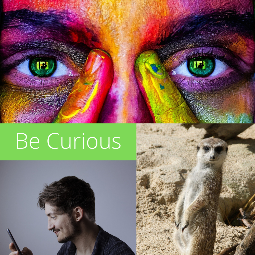2G_Curious.png
