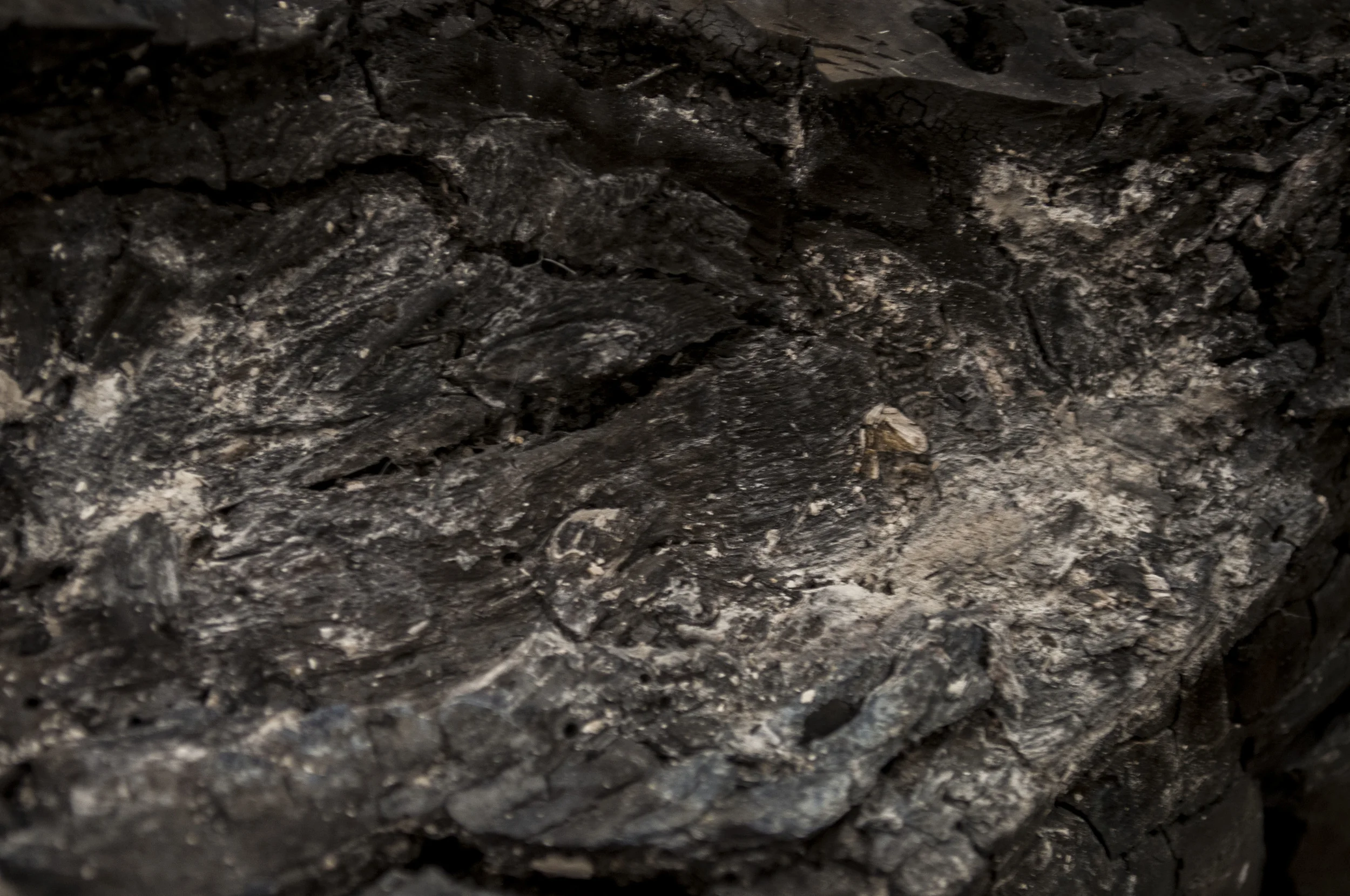  Palestinian olive wood charcoal, and concrete pillar 