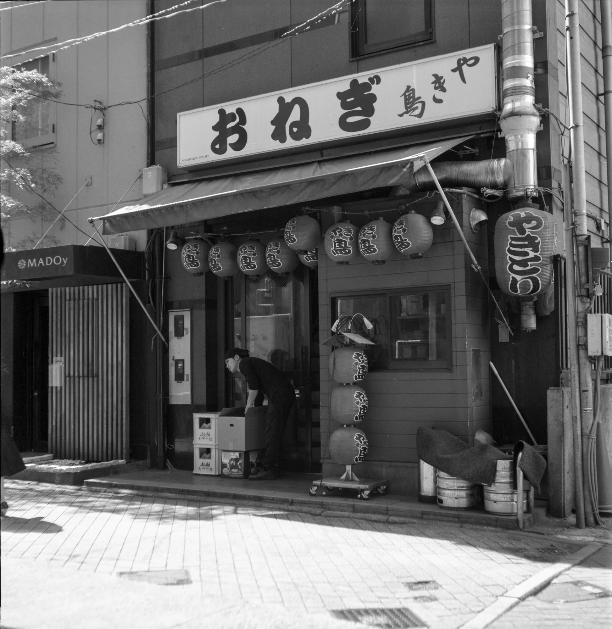 BMS-030.jpg