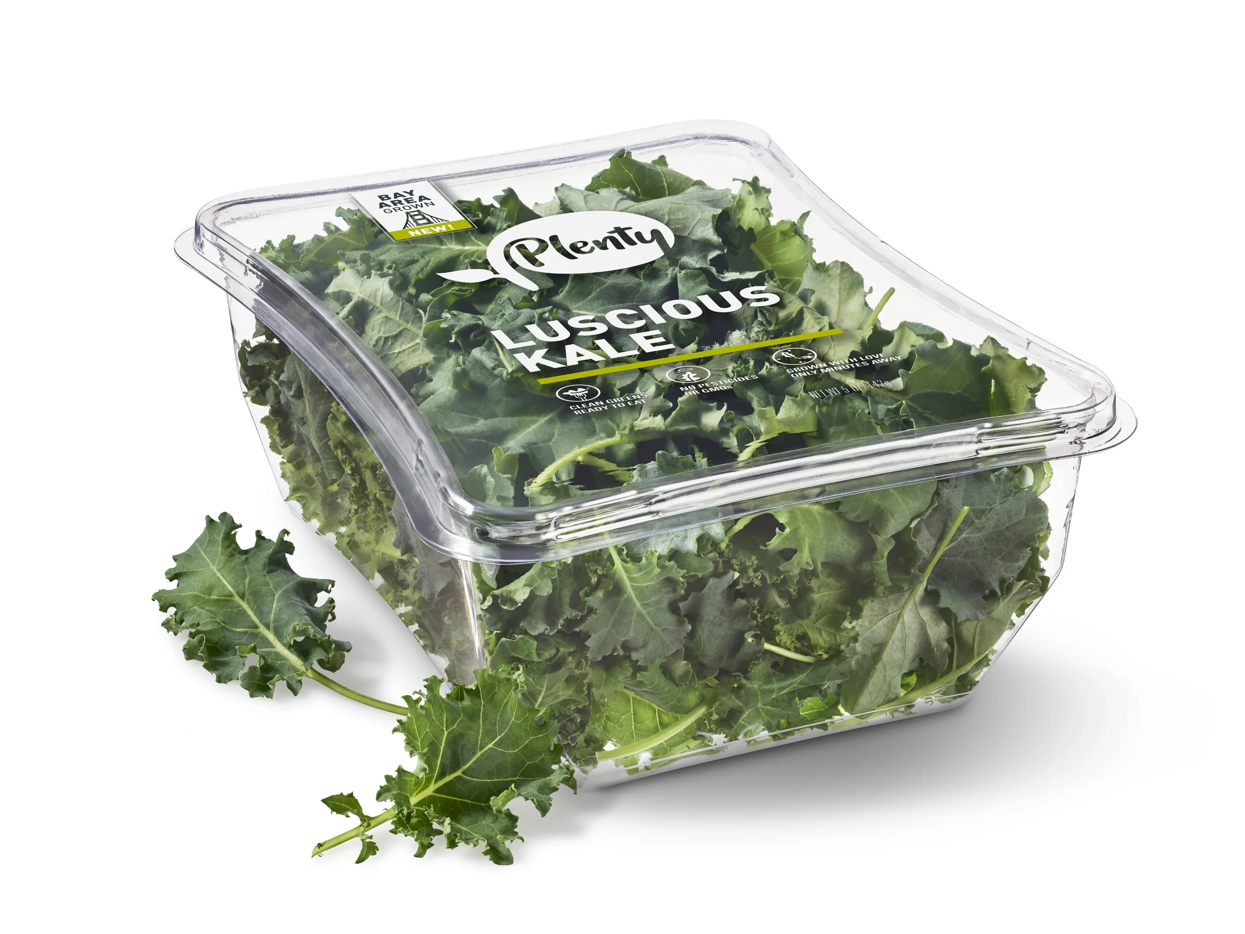 Baby_Kale_3-4.jpg