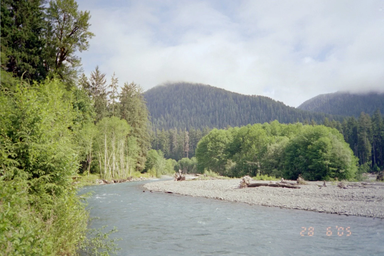 013 - Hoh Rain Forrest.JPG