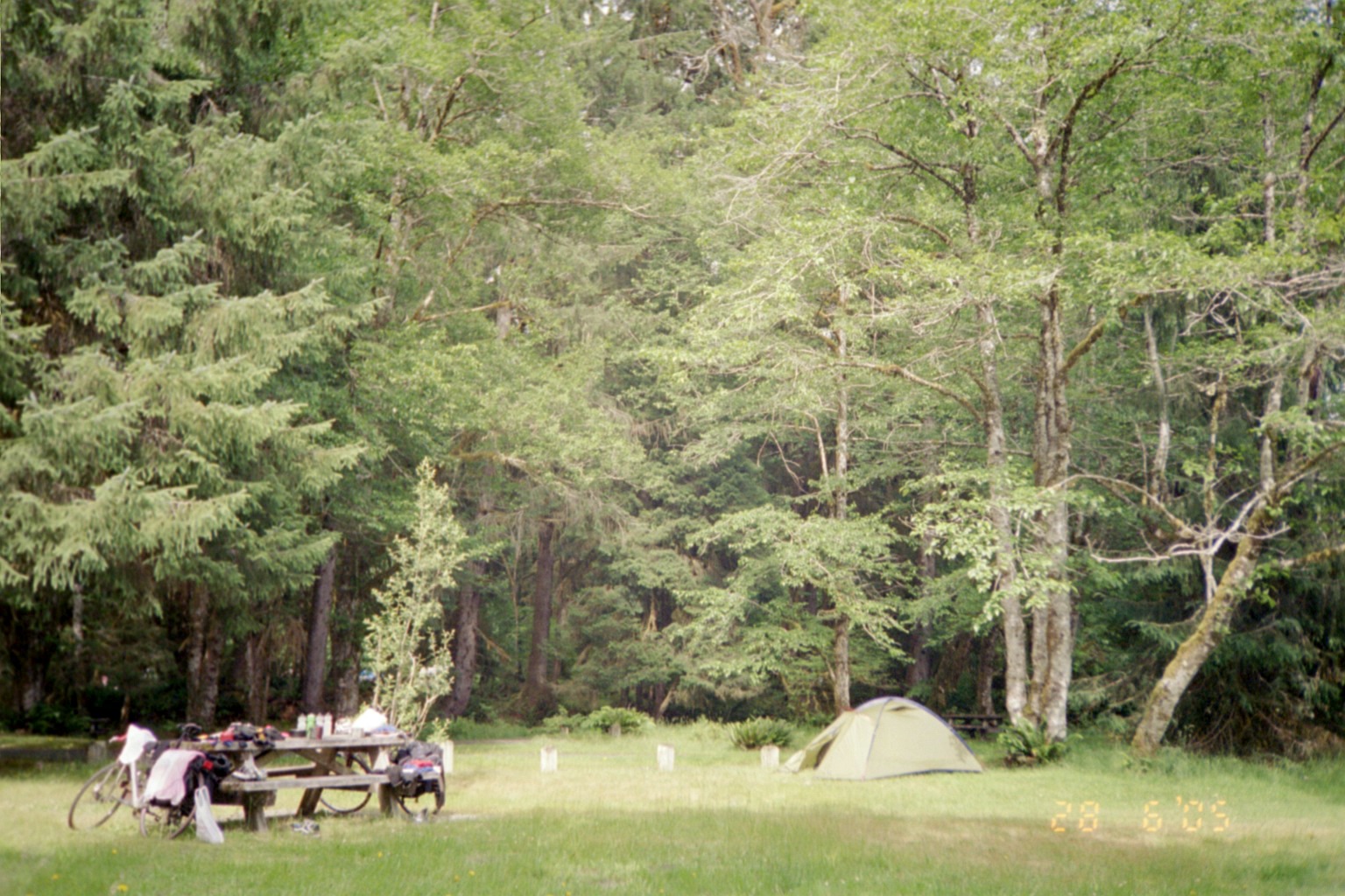 014 - Hoh Rain Forrest.JPG