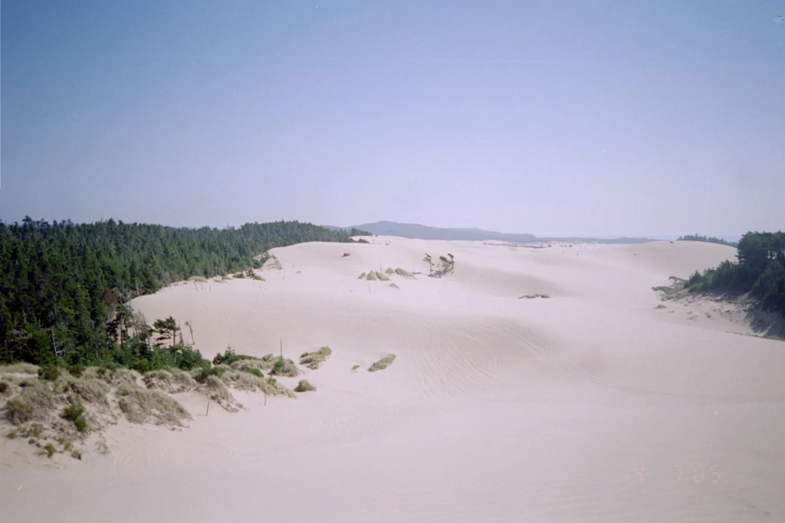 061 - Oregon Dunes.JPG
