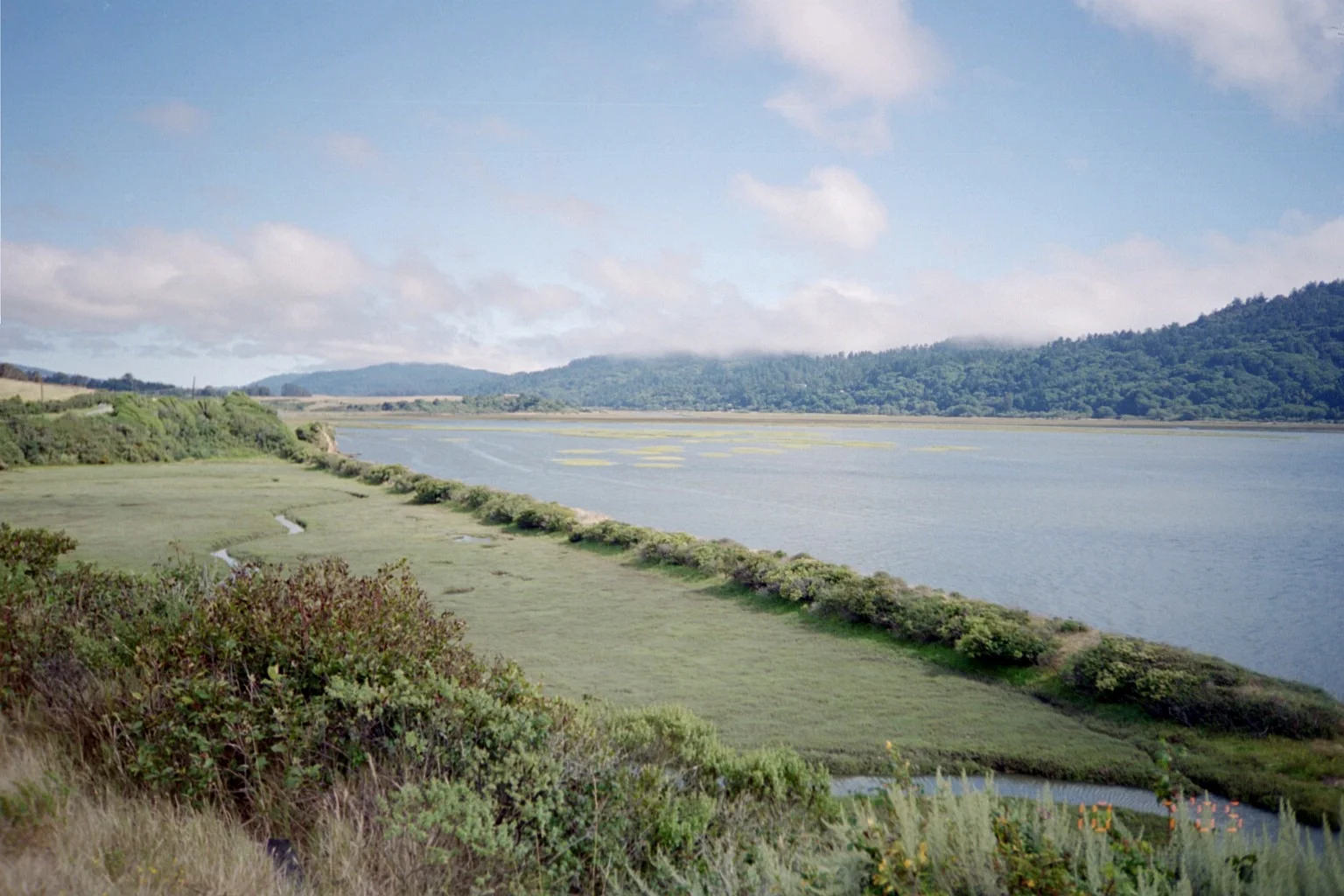 128 - Point Reyes National Seashore.JPG