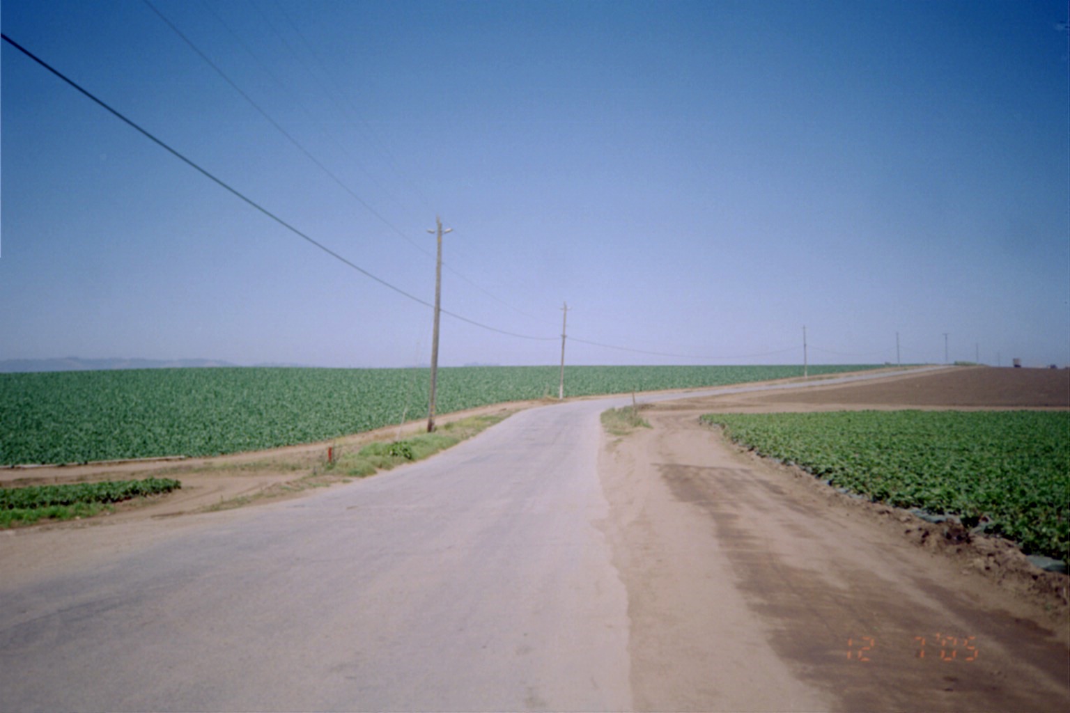 141.JPG