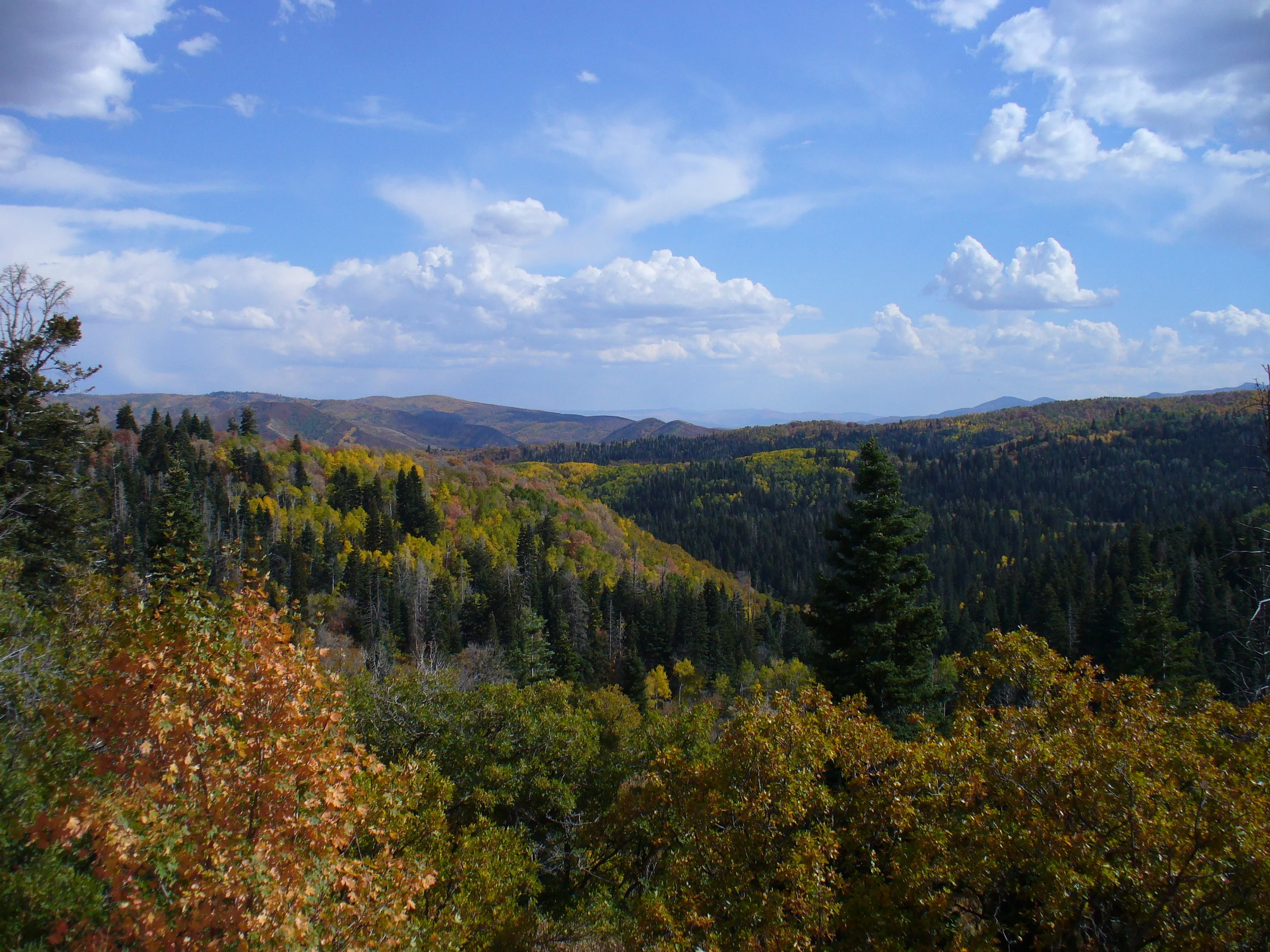 P1020855.JPG