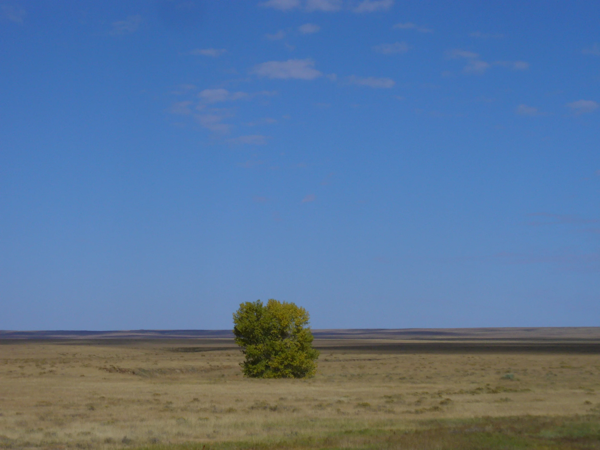 P1030027.JPG