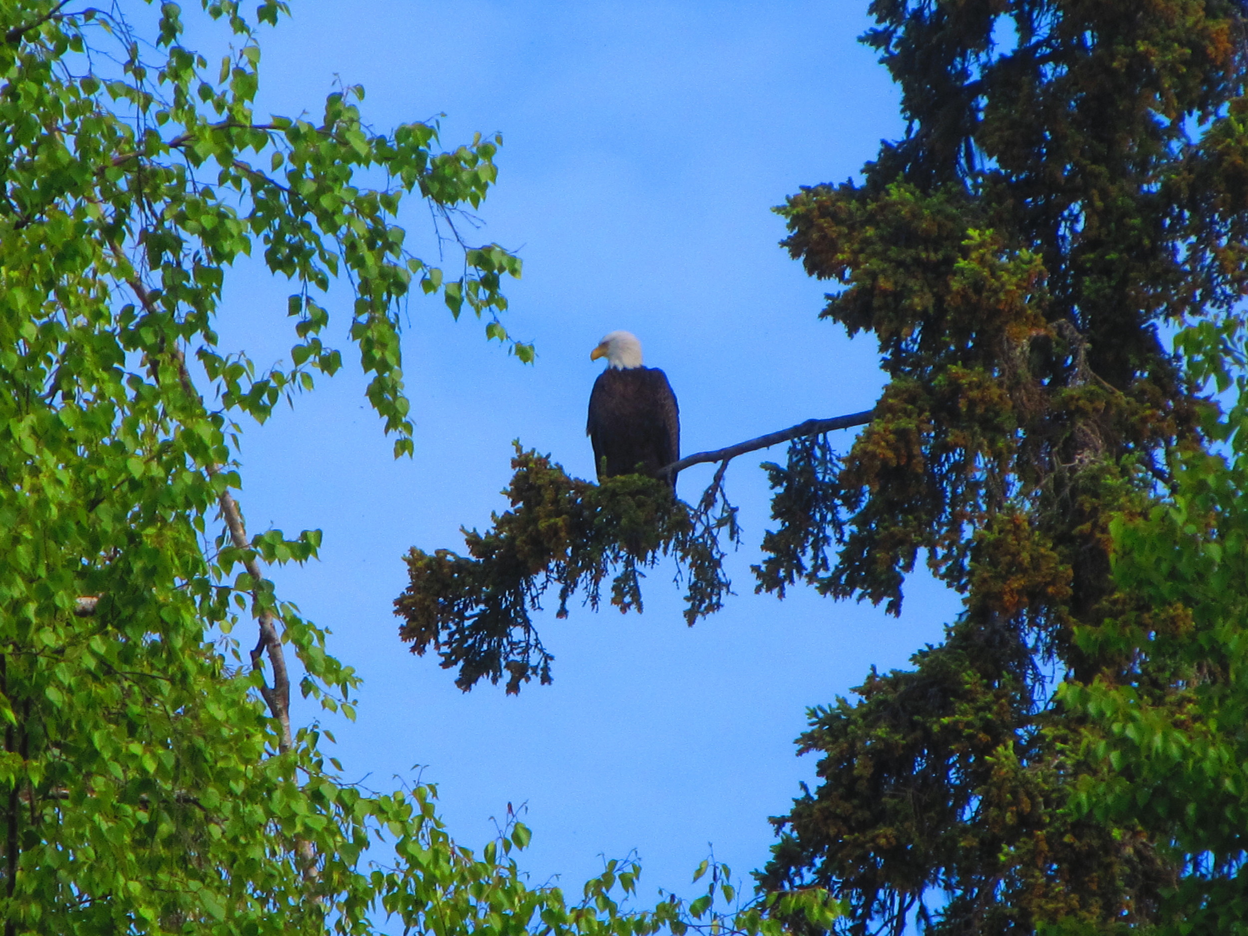 IMG_5460.jpg