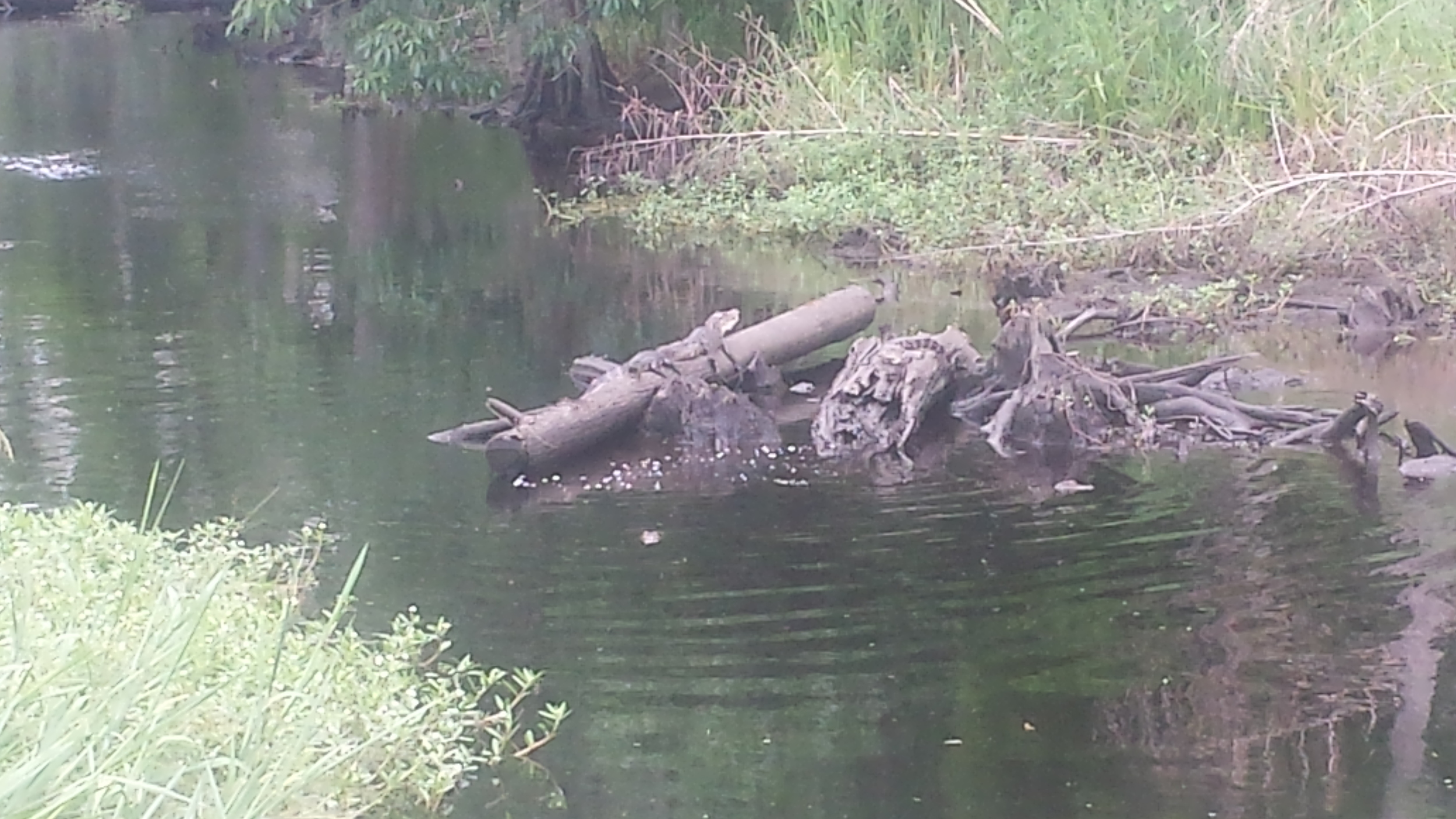 20140514_145554.jpg