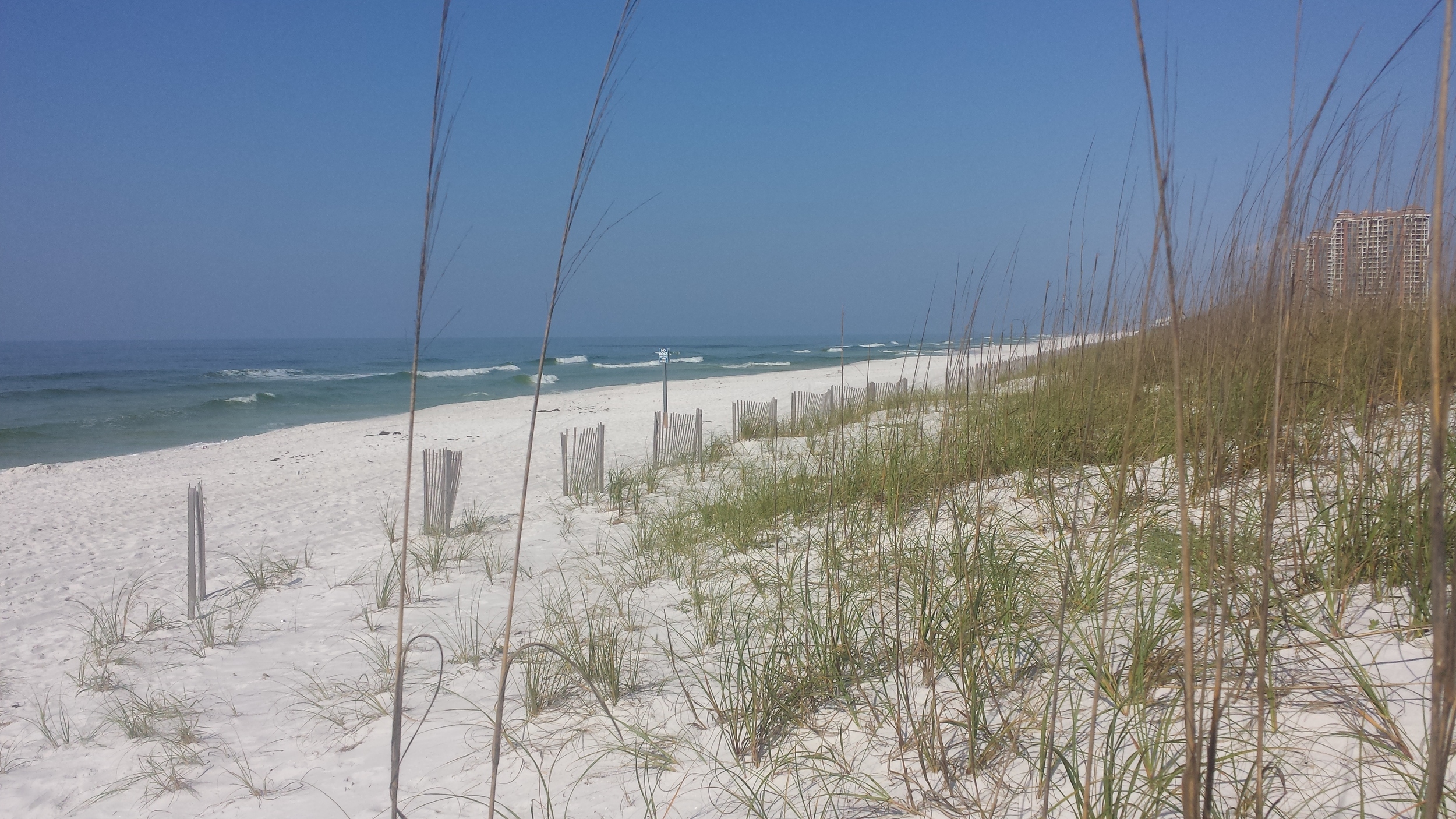 20140521_090211.jpg