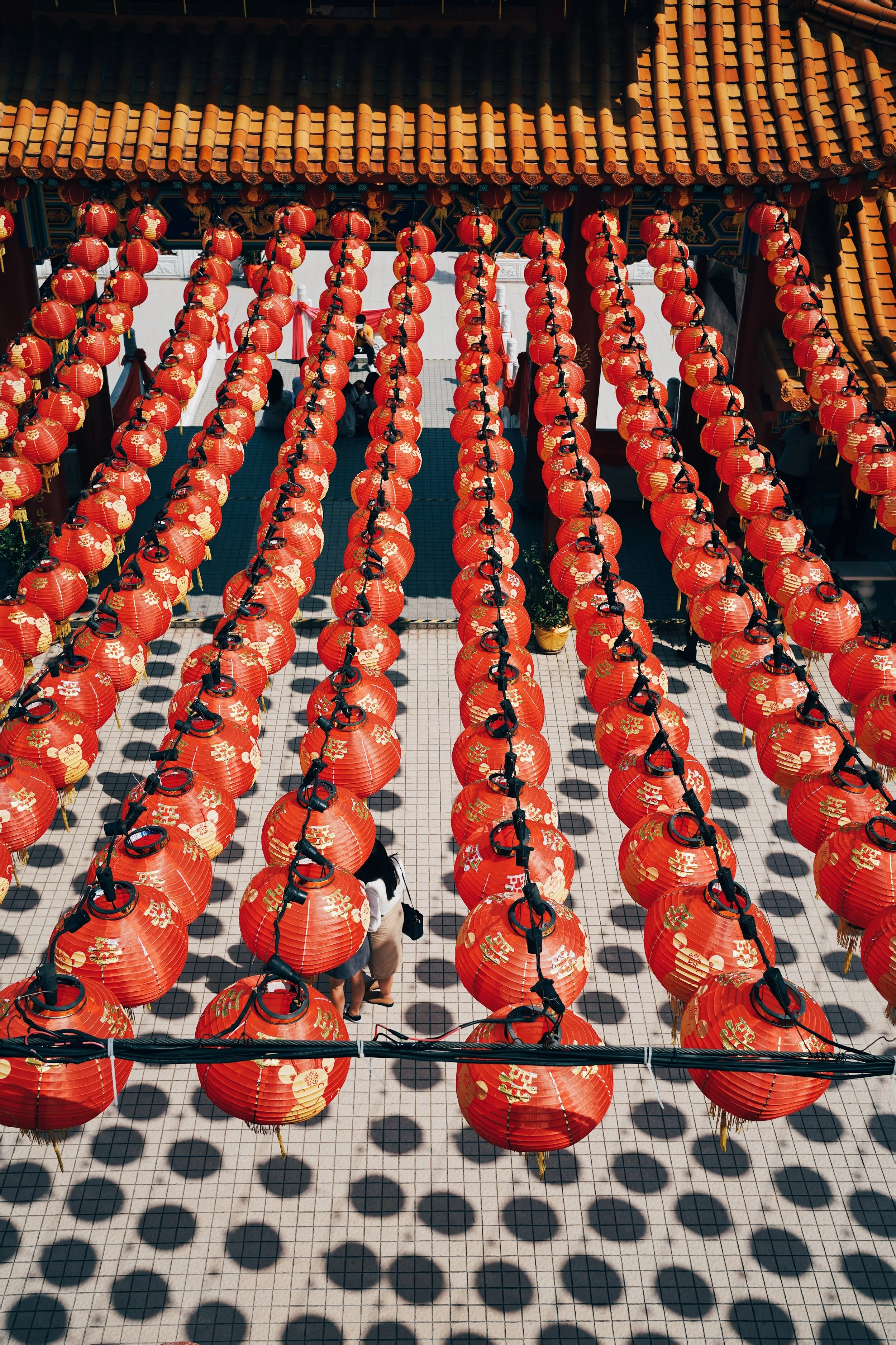 Chinese New Year 2020 - Year of the White Rat