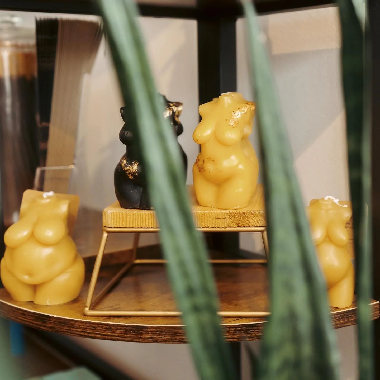 ✨Your body shows up for you every single day. It carries you, protects you, and keeps you moving. It deserves a little love in return.

At Kismet Acupuncture, we help you give back to your body with treatments like fire cupping that release tension a