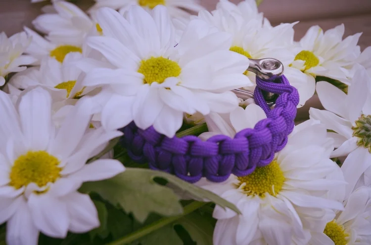 Explorer in ACID PURPLE