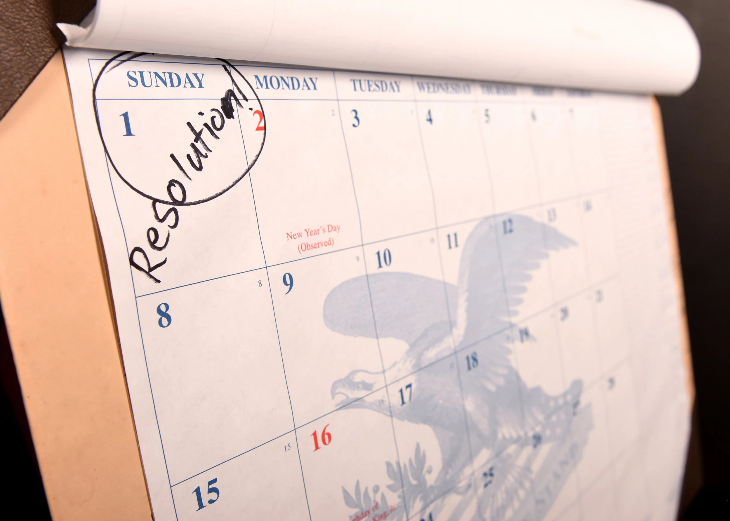 Goal Reflection and Renewal