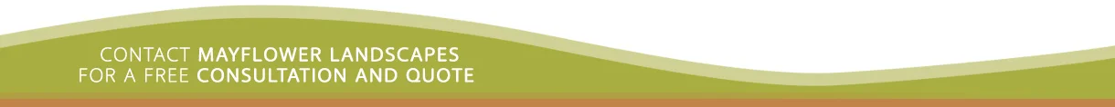 freecon_banner.jpg