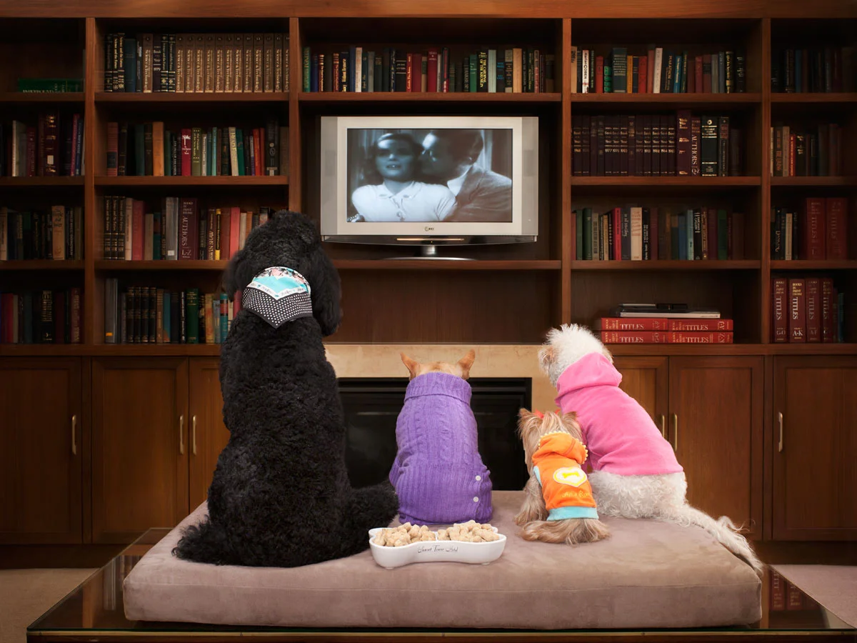 TVVersion2.jpg