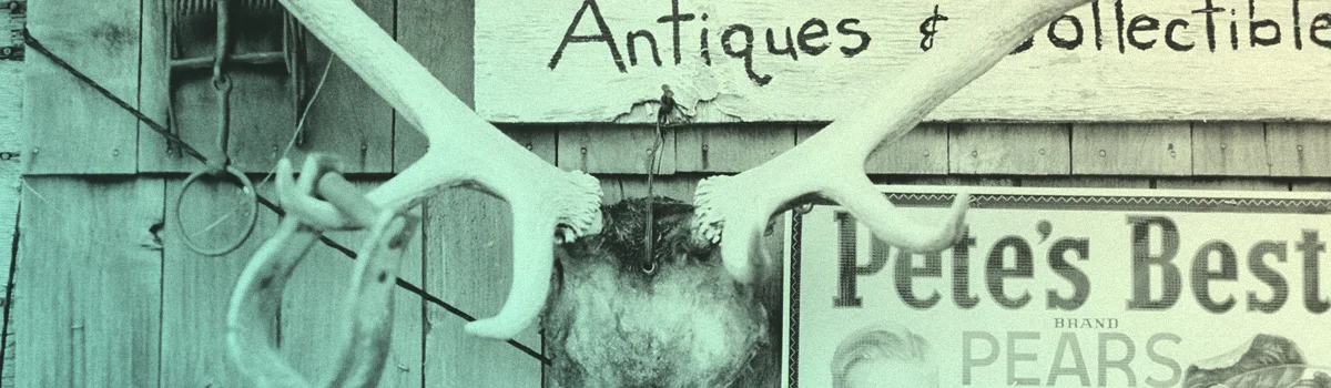  Our Future Looks Bright   