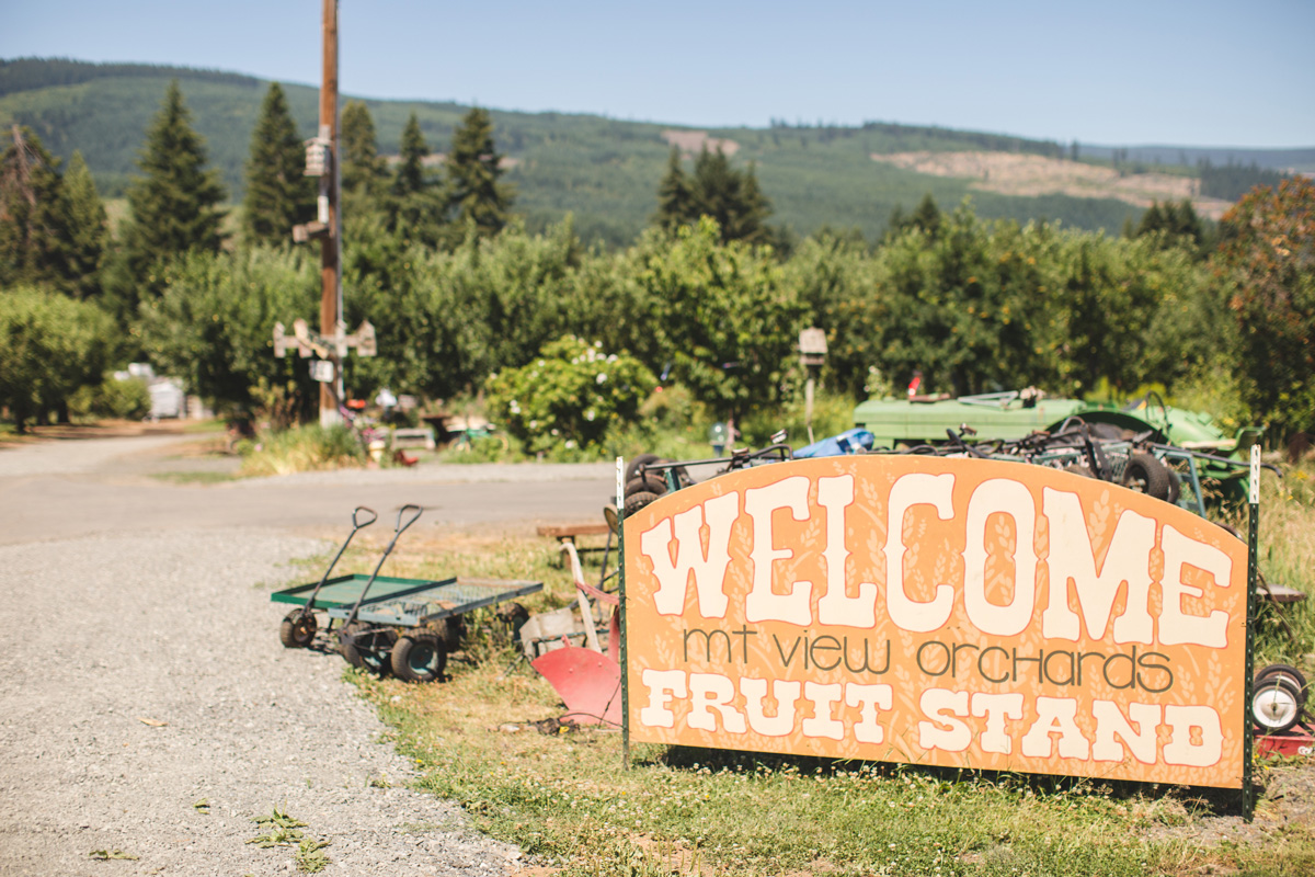 Mt_View_July-8.jpg