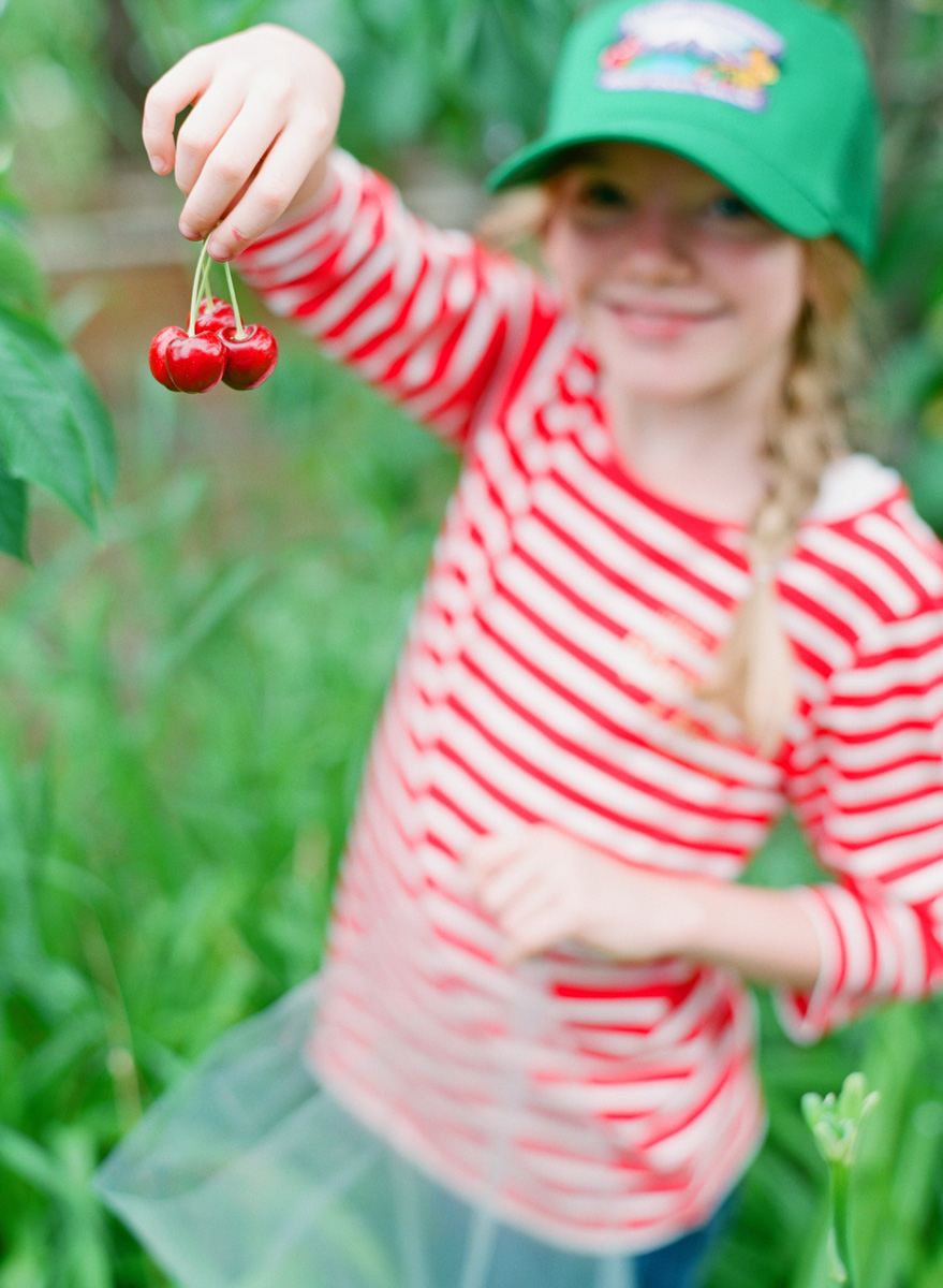 Mt.-View-Orchards-Cherries-017e.jpg