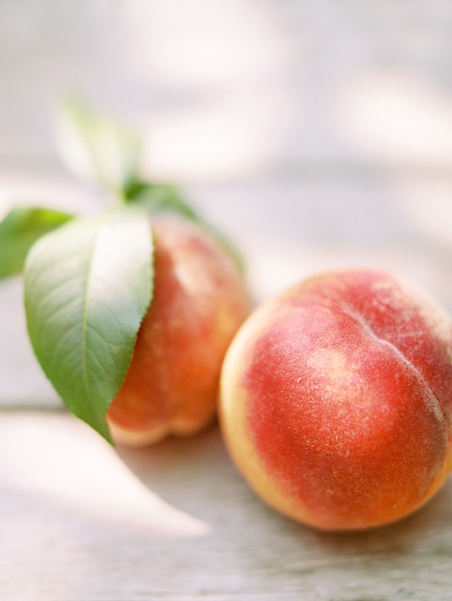 Mt.-View-Orchards-Peaches-45.jpg