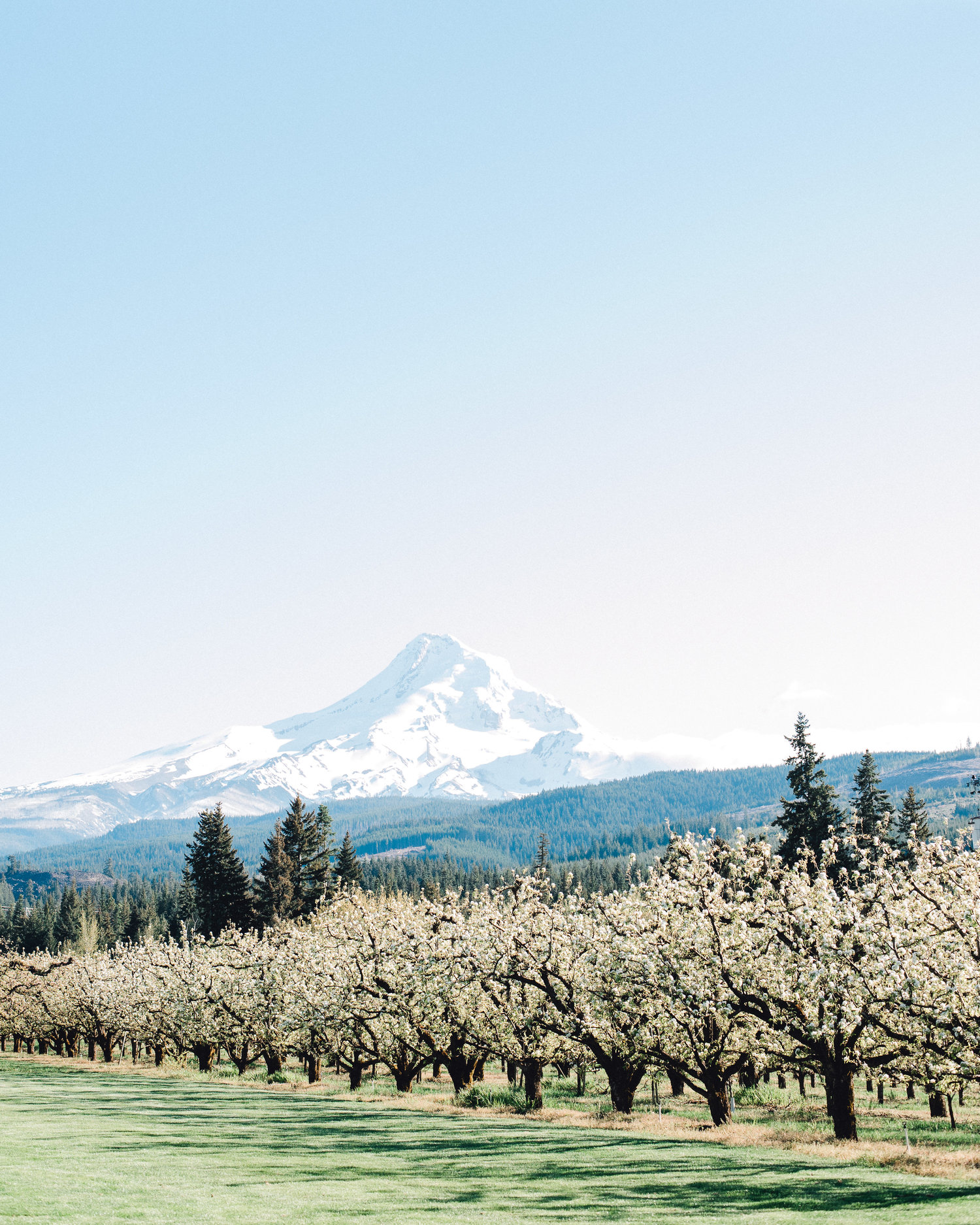 The orchard hood river
