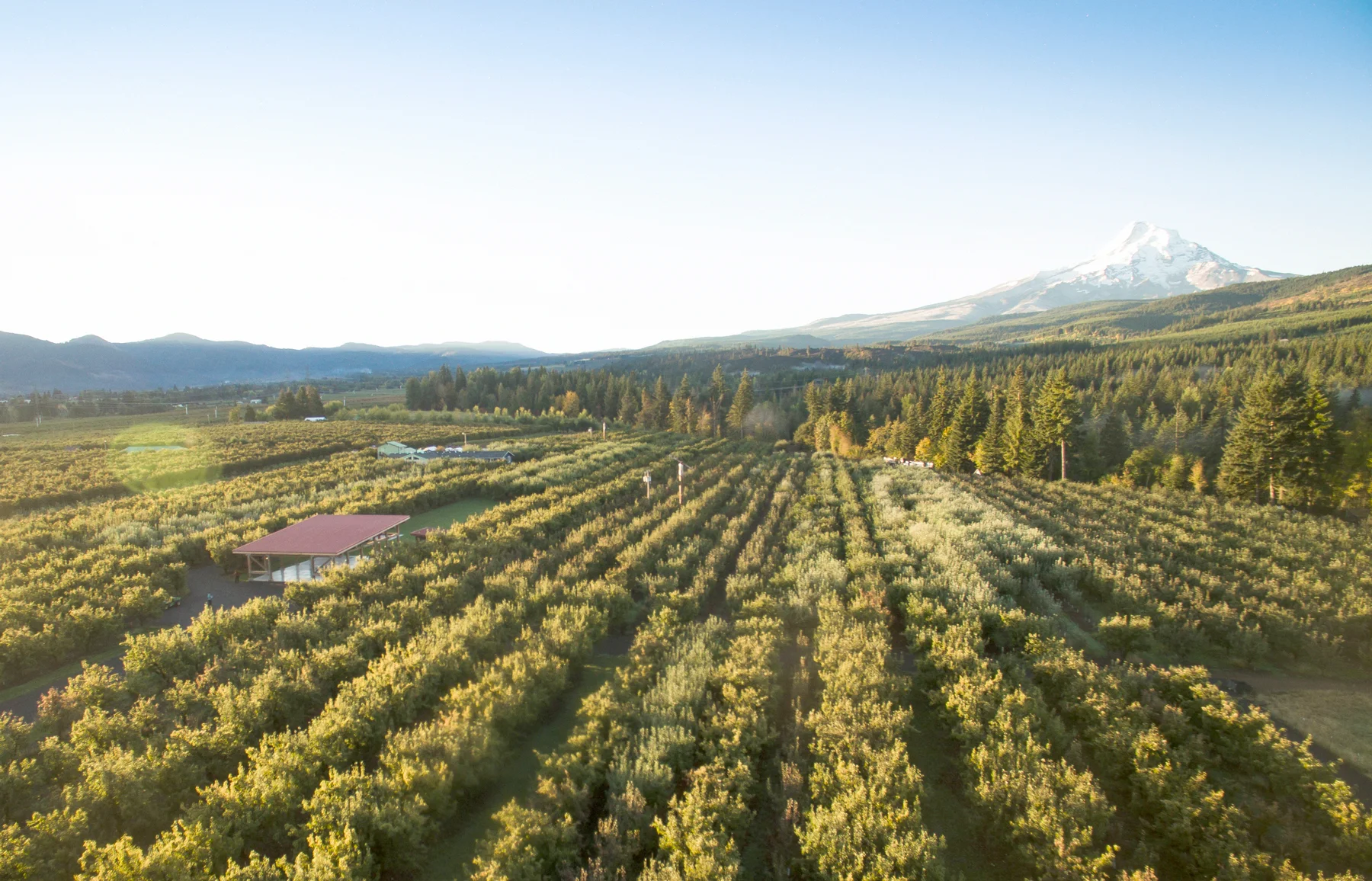MtView-Orchards-Hero.jpg