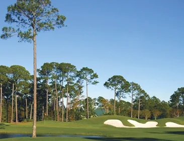 golf 4.jpg