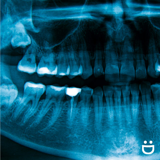 Links and resources for Signature Dental