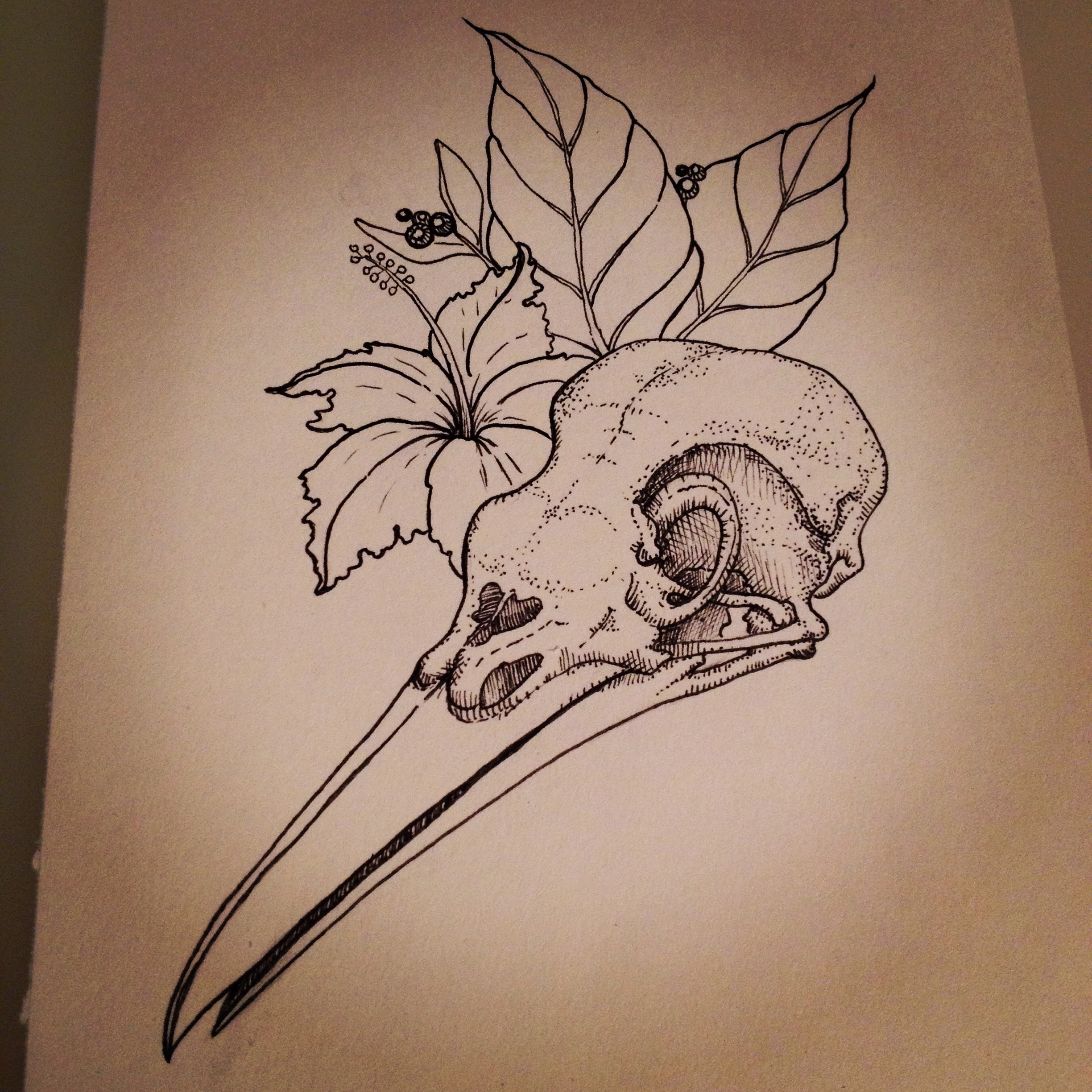 crowskull.jpg