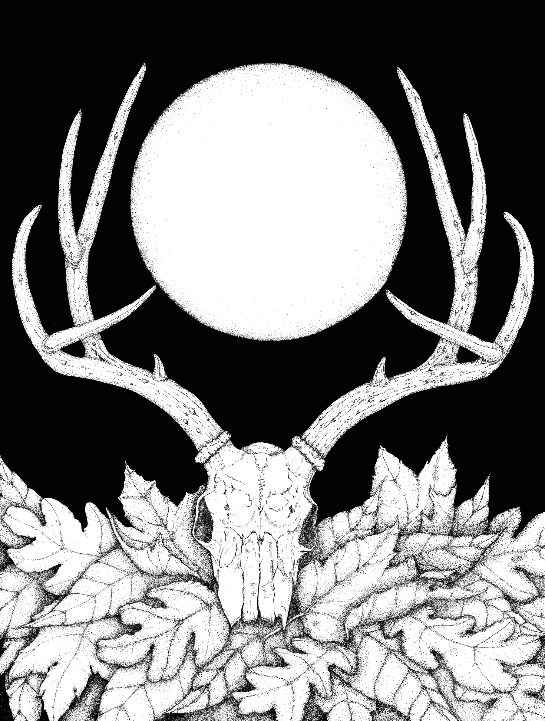 Deer.jpg