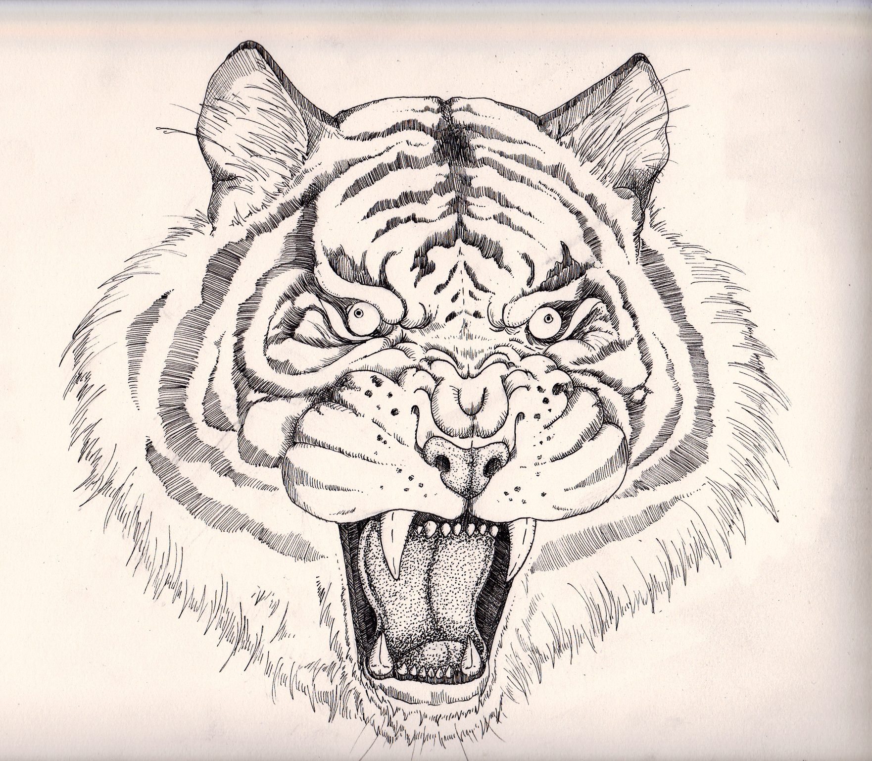 SmallTiger.jpg