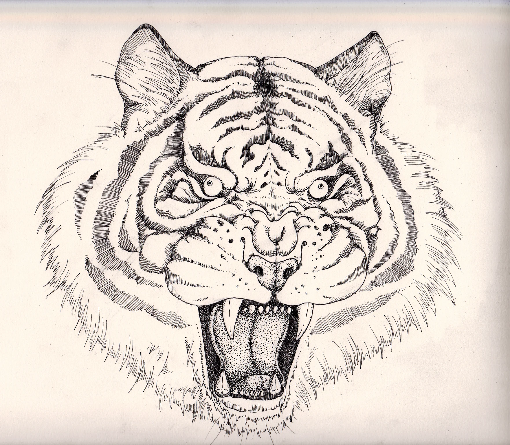 SmallTiger.jpg