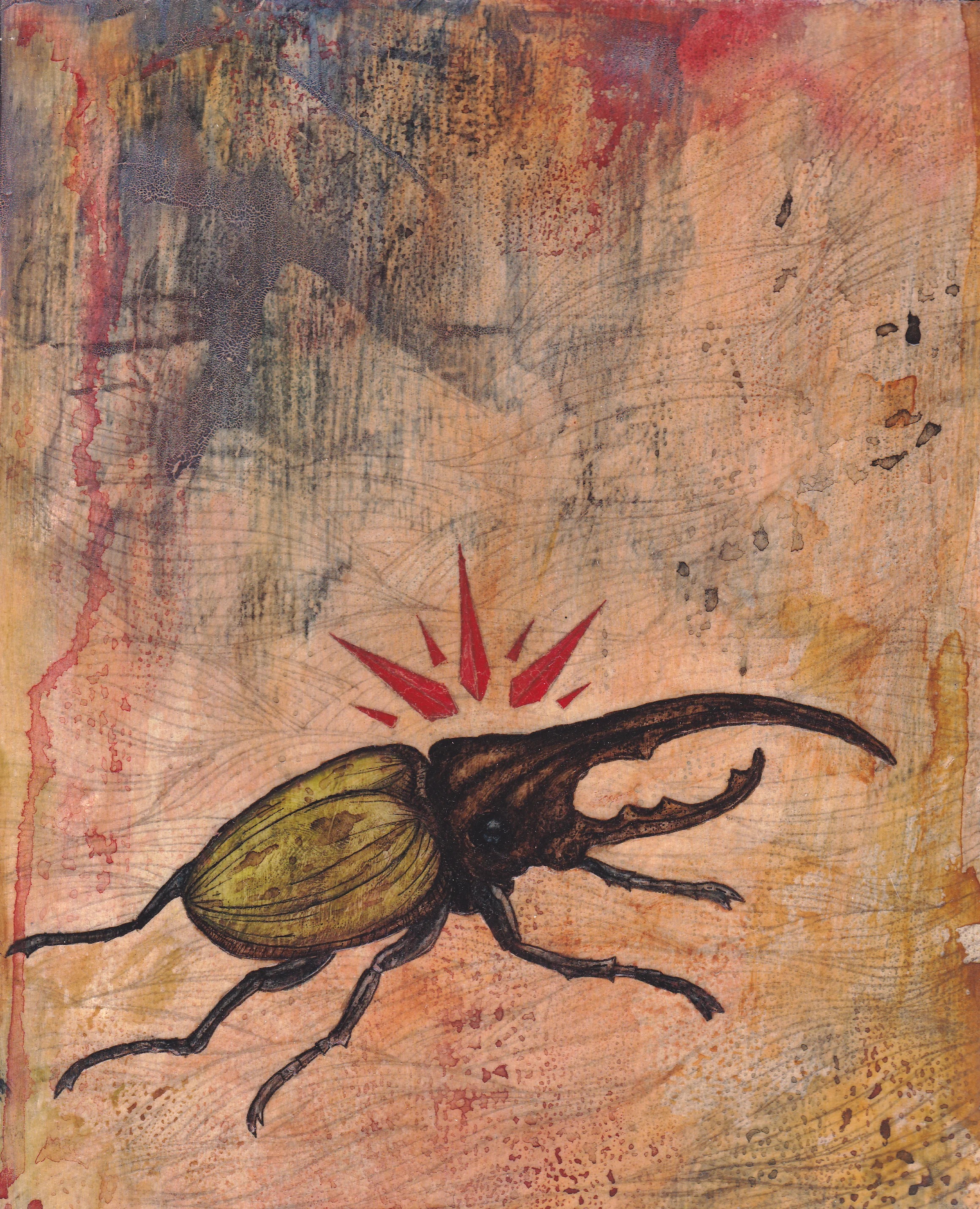 HerculesBeetle.jpg