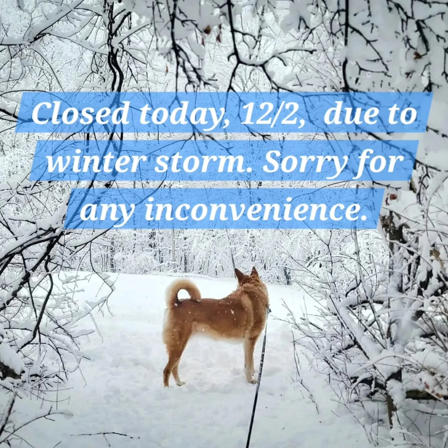 Welp&hellip; turns out I made my &ldquo;open every day until Christmas&rdquo; announcement a little too early.

Apparently too many of you wore your jammies inside out and summoned this whole snow-spectacle. 

So T&amp;J Soap is closed today, 12/2. A