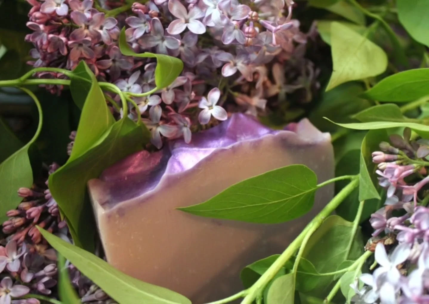 March definitely came in like a lion&hellip; let&rsquo;s hope it goes out like a lamb. 🌬️🌸

Snow or not, Spring is officially peeking through over here. Our first batch of seasonal Lilac Soap is ready! 💜

Soft, floral, and nostalgic in the very be