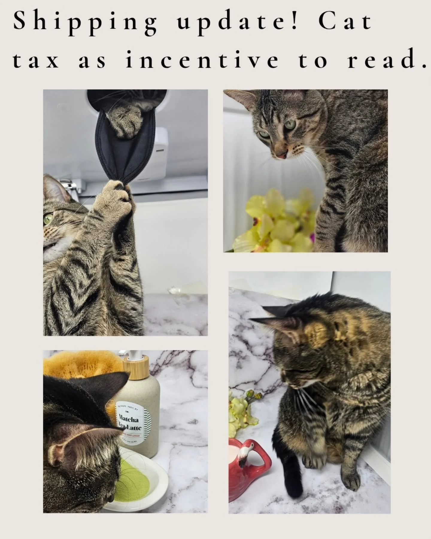 Anyone who takes product photos with cats around knows the struggle of them demanding to be your model. Anyway to the point! 

Heads up, friends. 💌

Starting April 26th, USPS shipping rates are increasing by about 8%, which will affect our shipping 